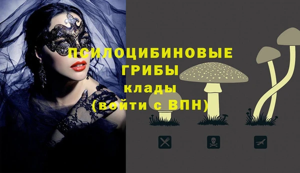 не бодяженный Богданович