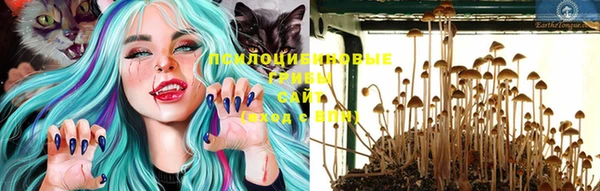 не бодяженный Богданович