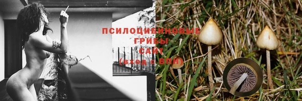 амфетамин Богородицк