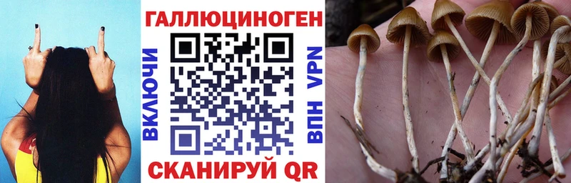 закладка  Самара  мега зеркало  Псилоцибиновые грибы MAGIC MUSHROOMS 